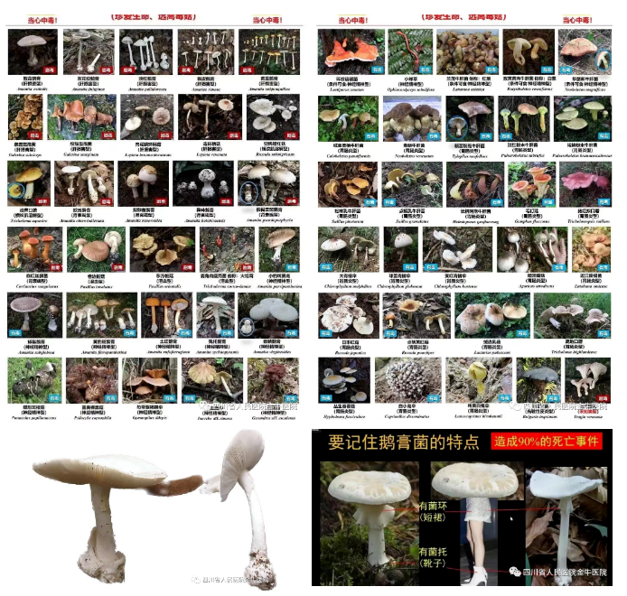 微信截图_20230724093045.png